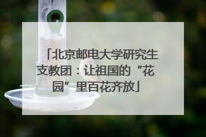 北京邮电大学研究生支教团：让祖国的“花园”里百花齐放
